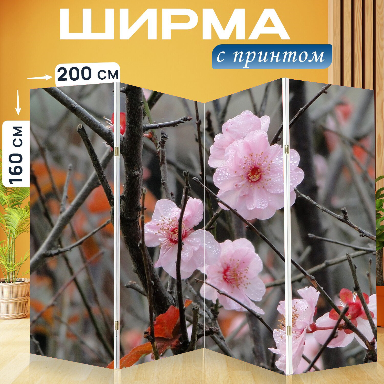 Ширма перегородка с принтом "Цветок, ю ли, весна" на холсте - 200x160 см. для зонирования, раскладная