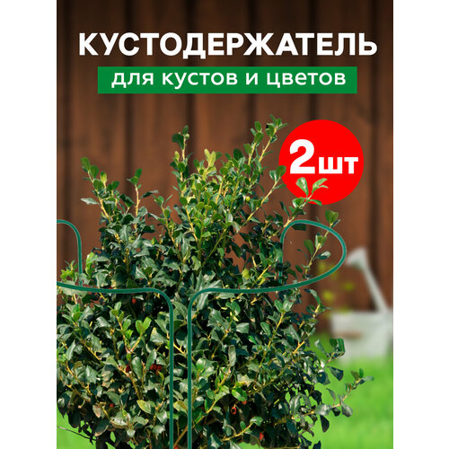 Кустодержатель круг проволока металл в ПВХ d-5 мм h-0,6 м d-0,3 м 2 полукруга
