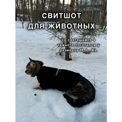 Свитшот для животных ( толстовка для кошек и собак) VEGANBASED Черный/XL (35см)