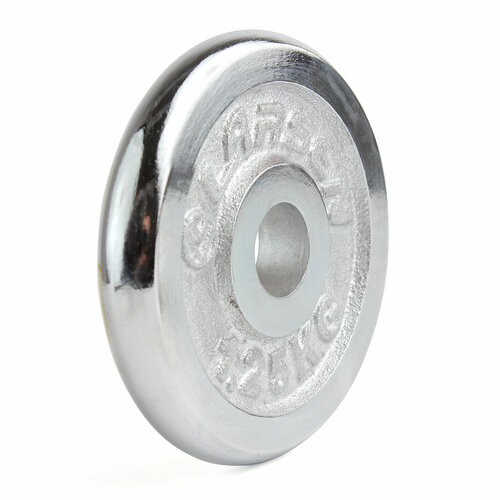 Диск хромированный NT125 д256мм 125кг 365 802₽