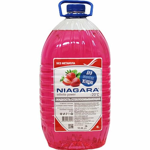 Стеклоомывающая жидкость для женщин NIAGARA 1015007008 808₽