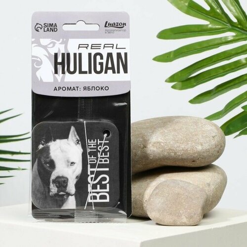 Ароматизатор в авто Danger аромат яблоко 442₽