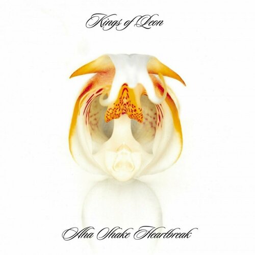 kings of leon aha shake heartbreak 2cd limited edition Виниловая пластинка Kings Of Leon, Aha Shake Heartbreak (0889854217716)