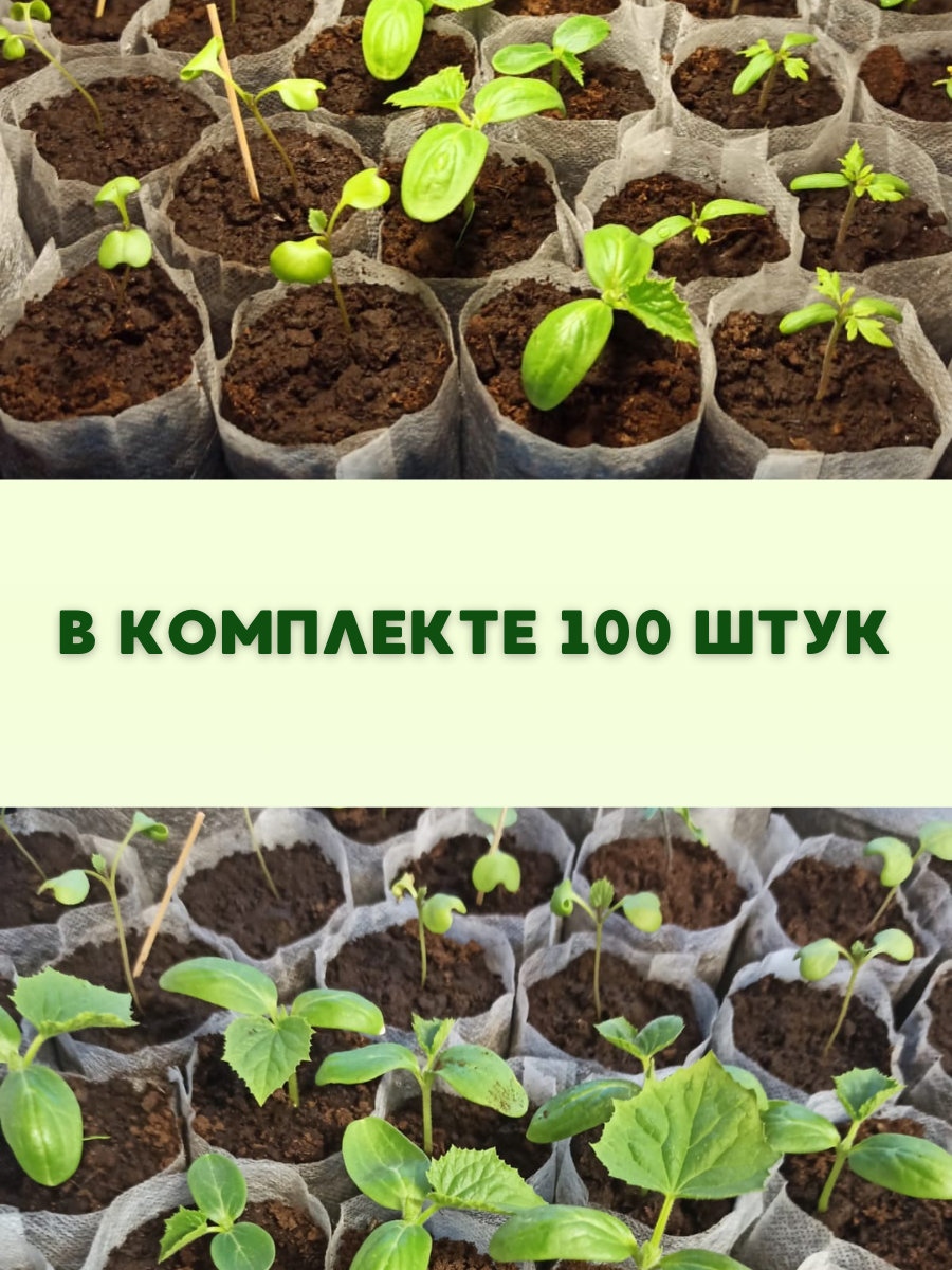 Изображение Пакеты для рассады, биоразлагаемые, спанбонд, 12х14 см, 100 шт.