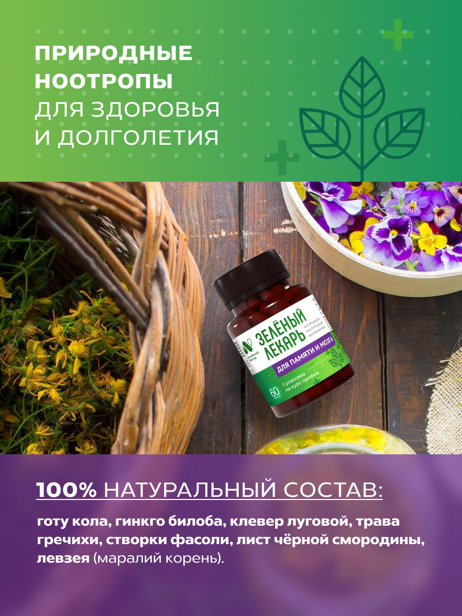 Ноотропы Фитокомплекс с гинкго билоба и готу кола ноотроп для мозга и памяти