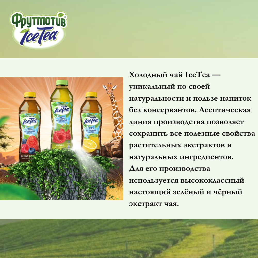 Фрутмотив IceTea Зеленый чай холодный Малина 1 л ПЭТ упаковка 6 штук - фотография № 5