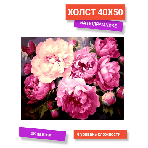 Картина по номерам на холсте 40х50. Пионы Paintboy (GX47261)