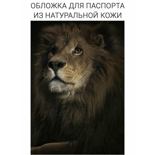 Обложка для паспорта SLVGO, бежевый, черный, белый