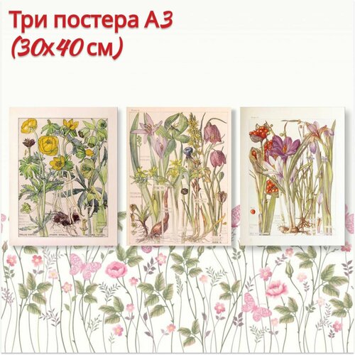Набор интерьерных постеров 