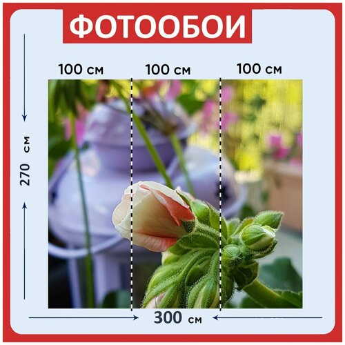 Фотообои Цветок розовый розы 300x270 см флизелиновыена стену 3940₽
