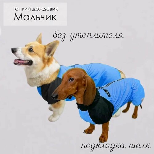 Комбинезон для собак дождевик для собак Такса и Корги лайм 3687₽