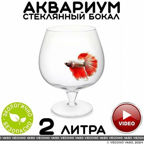 Аквариум vecchio vaso шар круглый стеклянный для рыбок бокал 2 литра