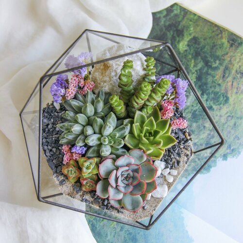 Флорариум со светолюбивыми суккулентами ФлаверПавер от SEVERINSIDE 5890₽