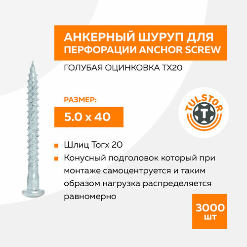 Саморез для перфорированного крепежа 5,0х40 Anchor screw голубая оцинковка TX20 уп. 3000шт.