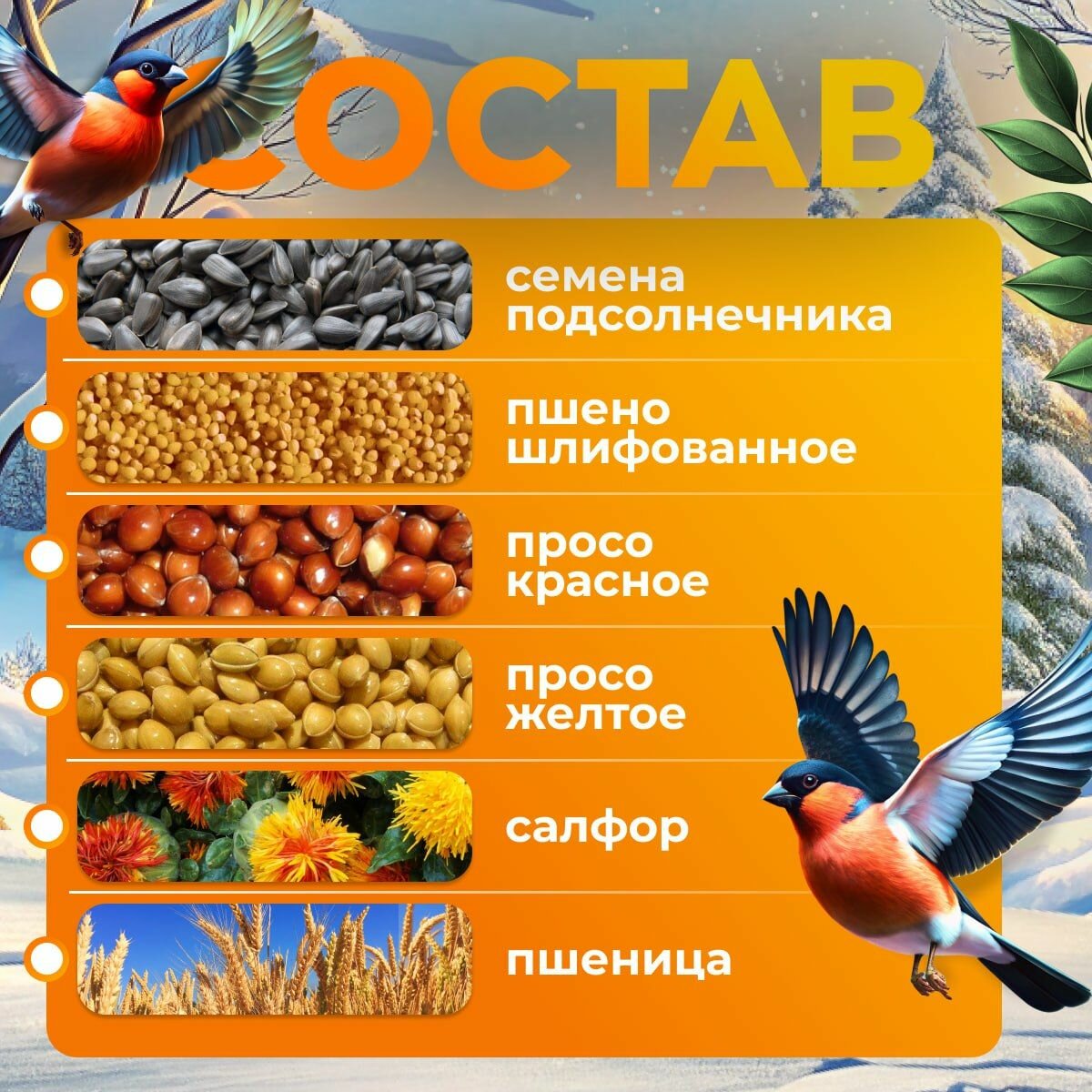 Корм для уличных лесных парковых птиц зерновой рафа 3,3 кг — фото 1