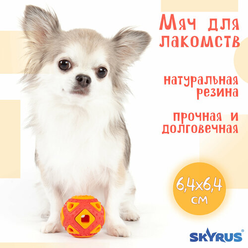 SkyRus Игрушка для собак резиновая 