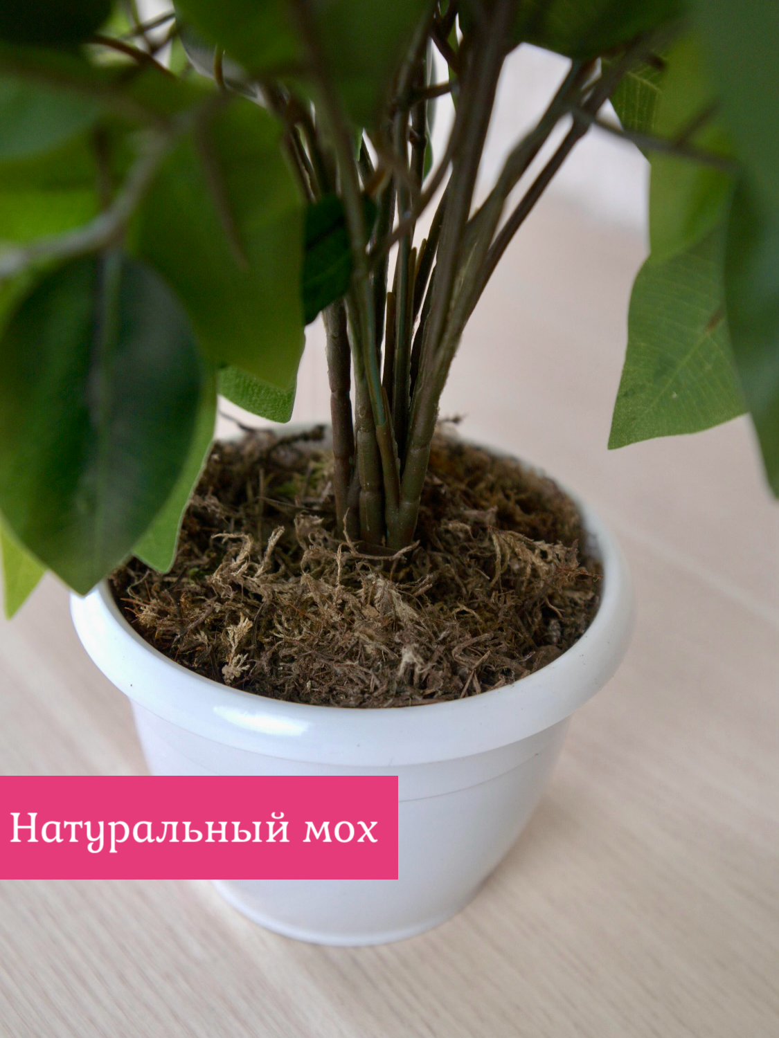 Дерево лимон с пятью плодами искусственный от "Лотос" — фото 1