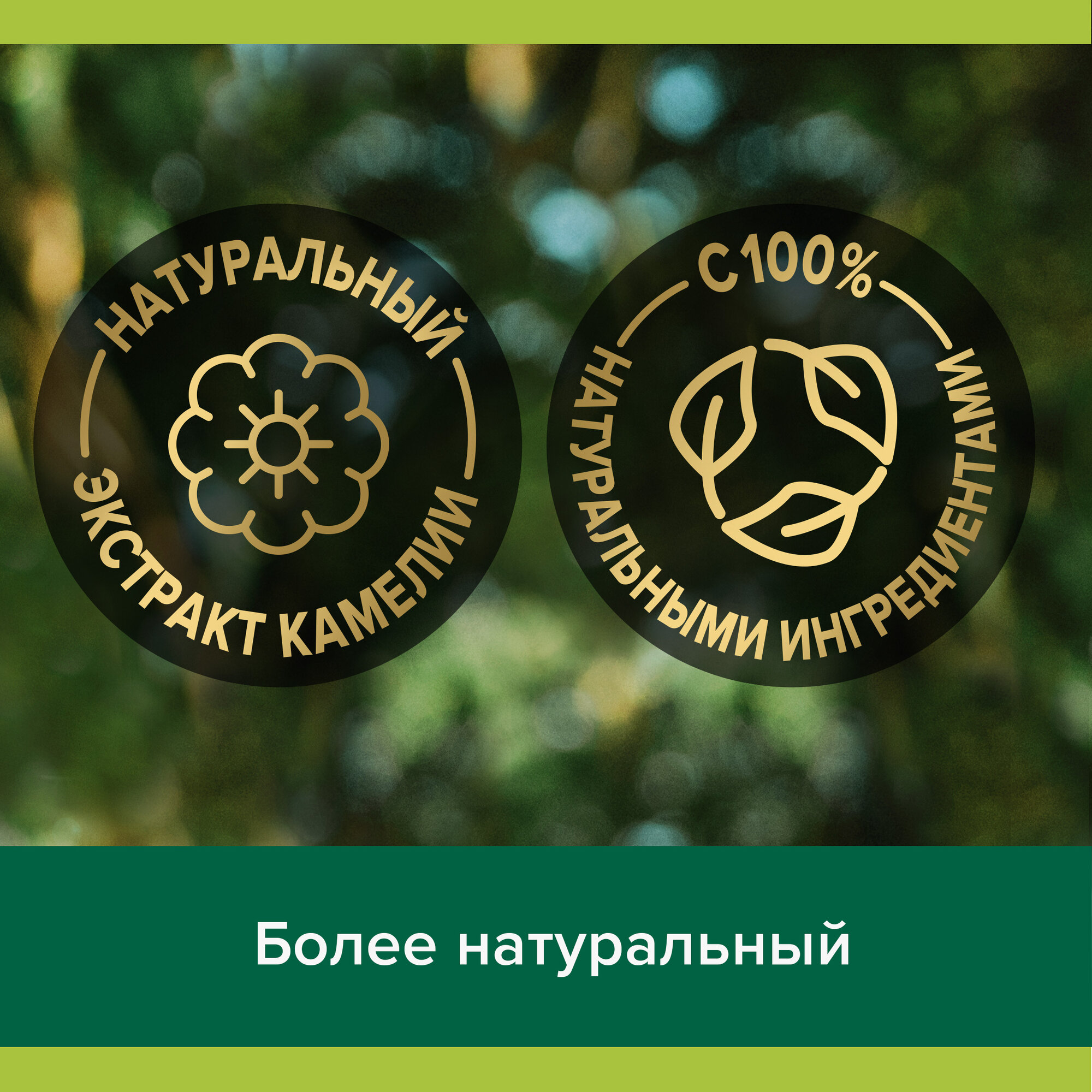 Изображение Мыло туалетное твердое Palmolive Роскошь Масел с маслом миндаля и камелии 90 г ( 6 шт )