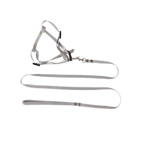 Шлейка+поводок (PerseiLine) быстросъемная для кошек и маленьких собак, нейлон серый
