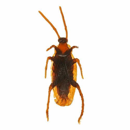 Прикол Таракан набор 12 штук прикол для детей и малышей 308₽