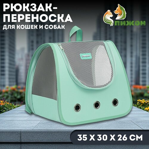 фото Рюкзак-переноска для кошек и собак, 35 х 30 х 26 см, голубой пижон