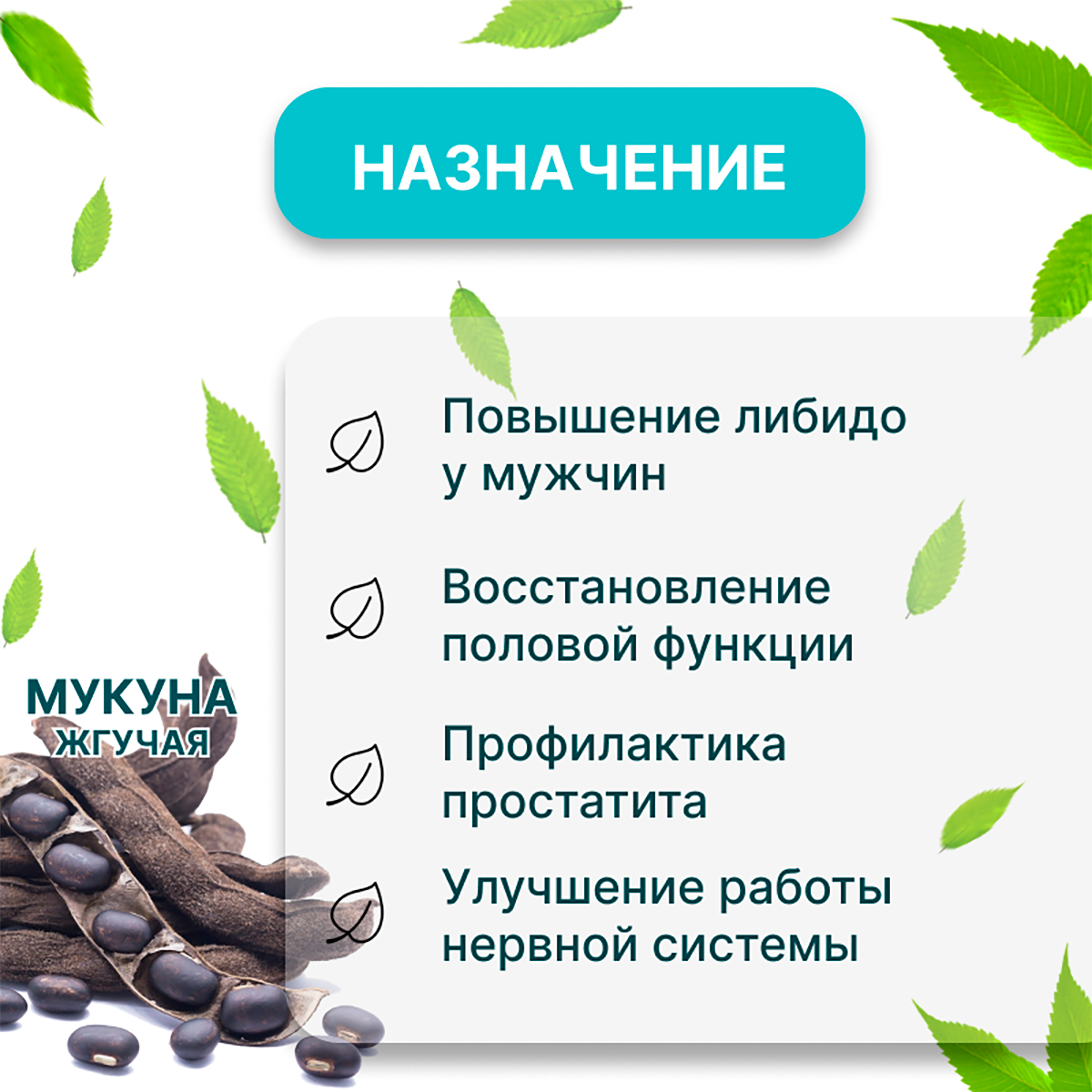 Изображение Аюрведическая пищевая добавка Himalaya Kapikachhu для мужского здоровья, 60 таблеток