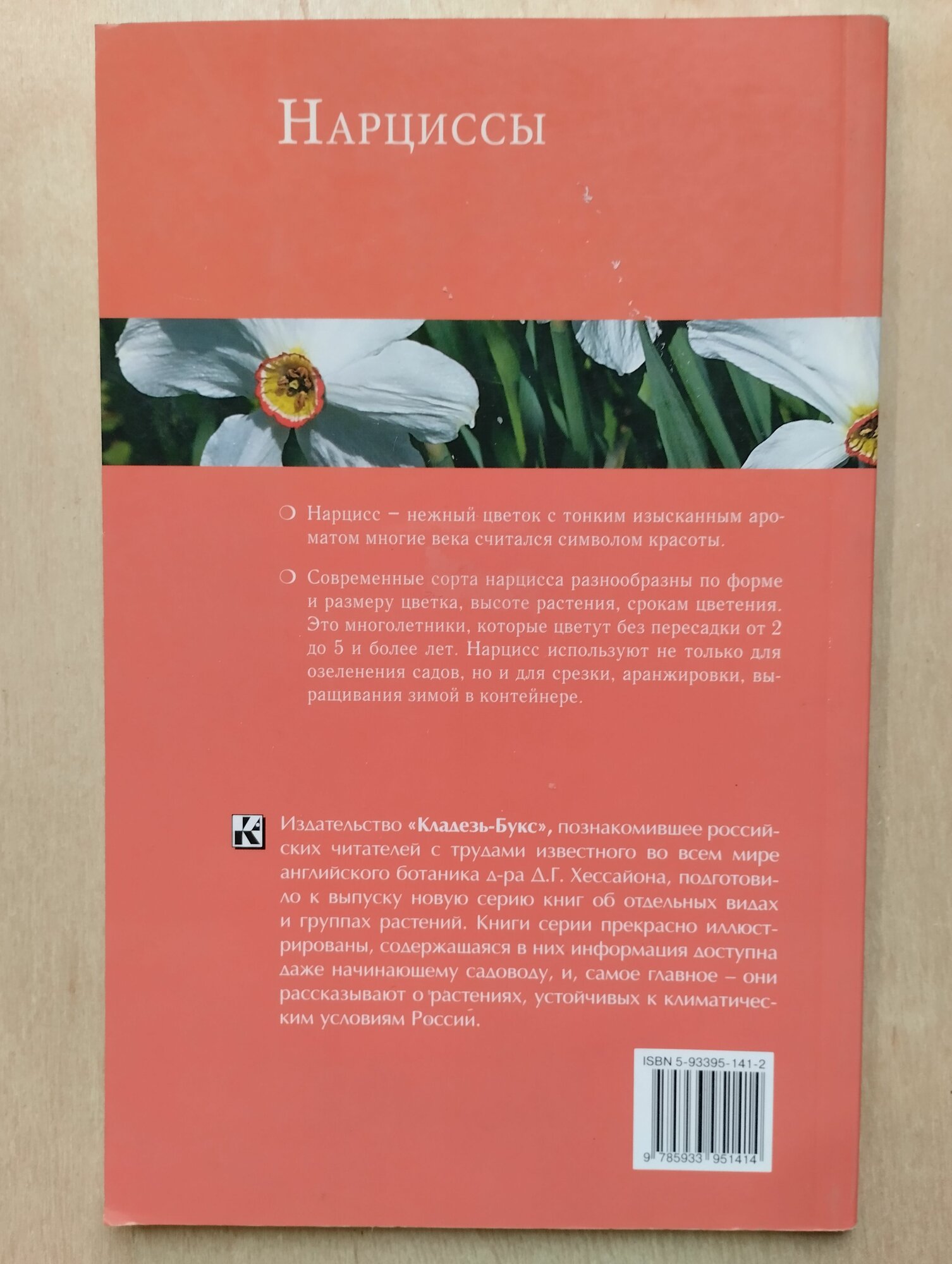 Нарциссы — фото 1