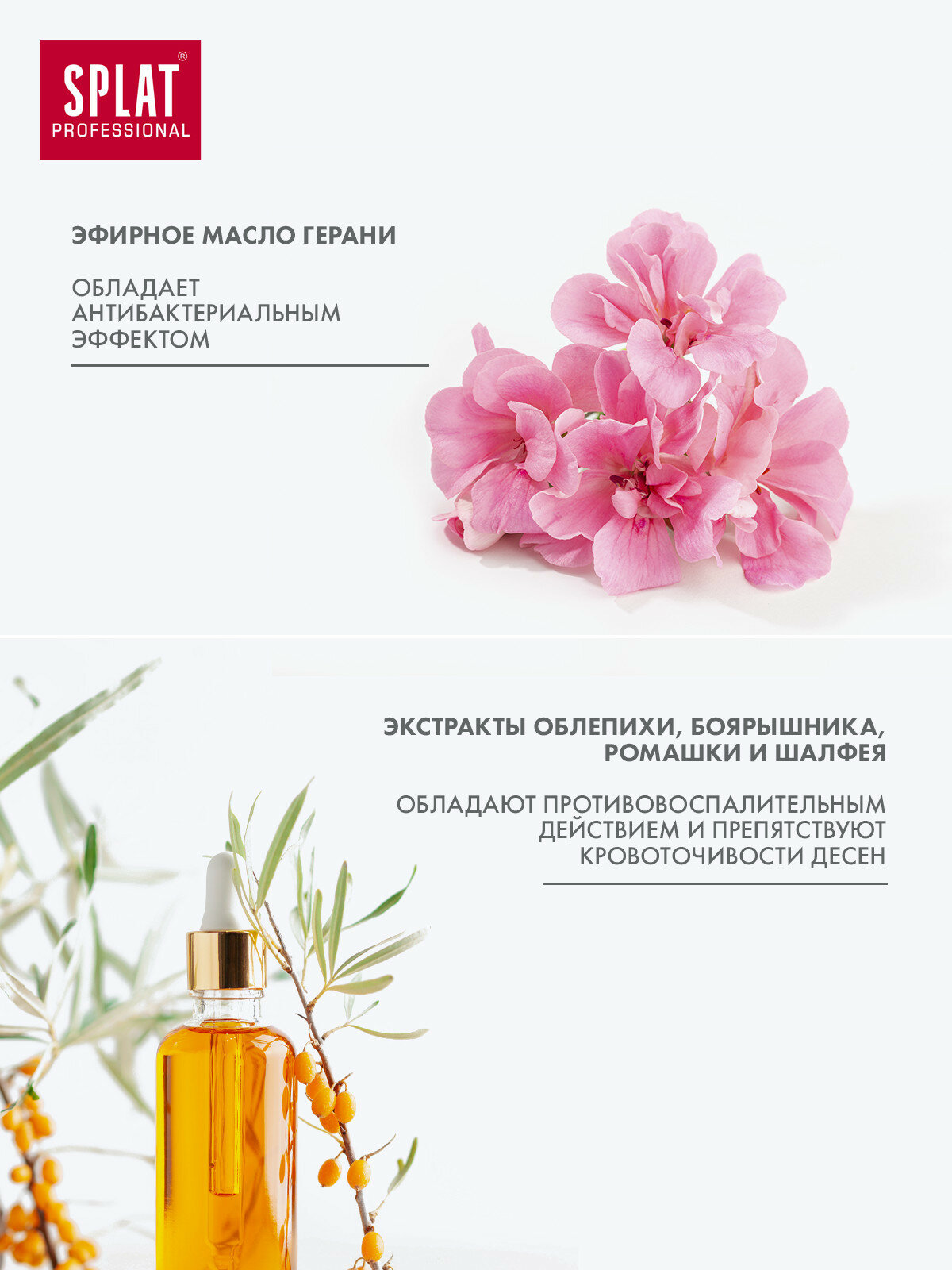 Изображение Антибактериальный ополаскиватель для полости рта SPLAT MEDICAL HERBS ЛЕЧЕБНЫЕ ТРАВЫ для здоровья зубов и десен, 275 мл