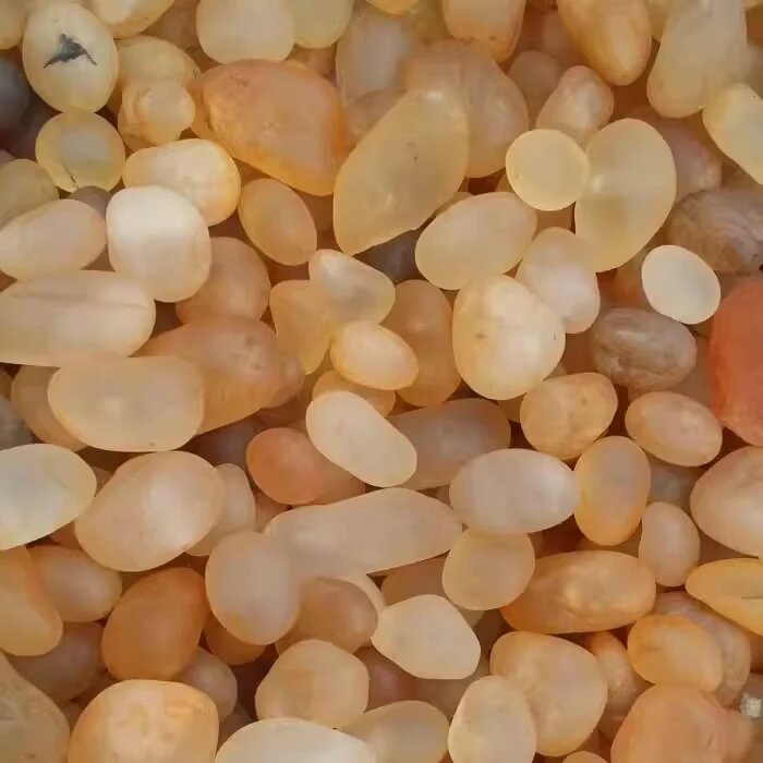 Натуральный белый топаз, Бразилия, BASILOSAURUS 100G
