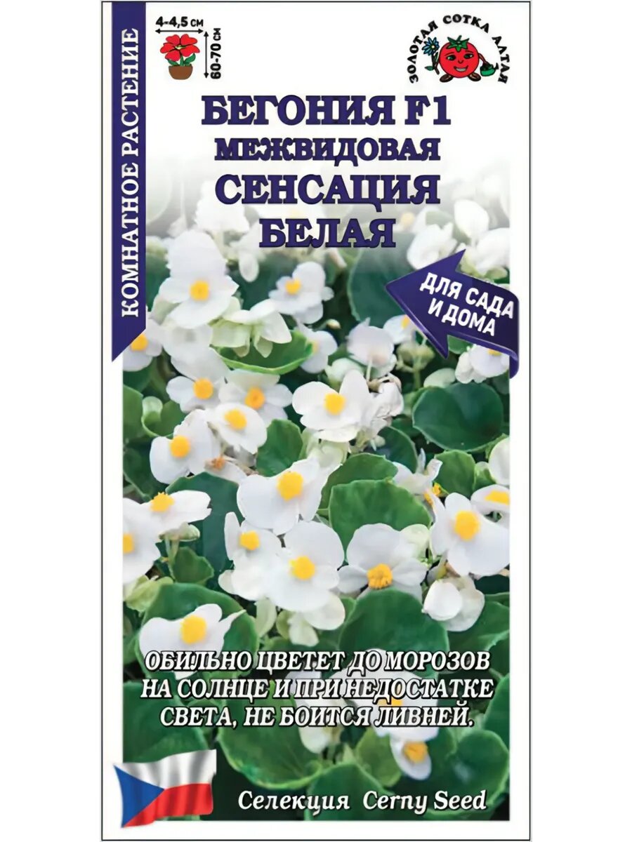 Бегония Сенсация белая F1 / 5 шт