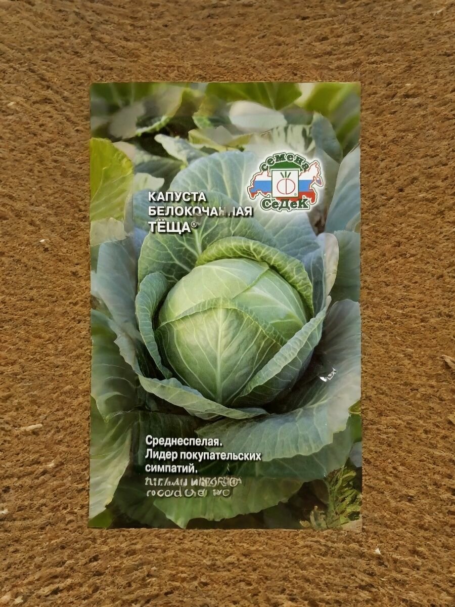 Семена капусты белокочанной Теща ( среднеспелый сорт) для квашения хранения свежего потребления. СеДек.