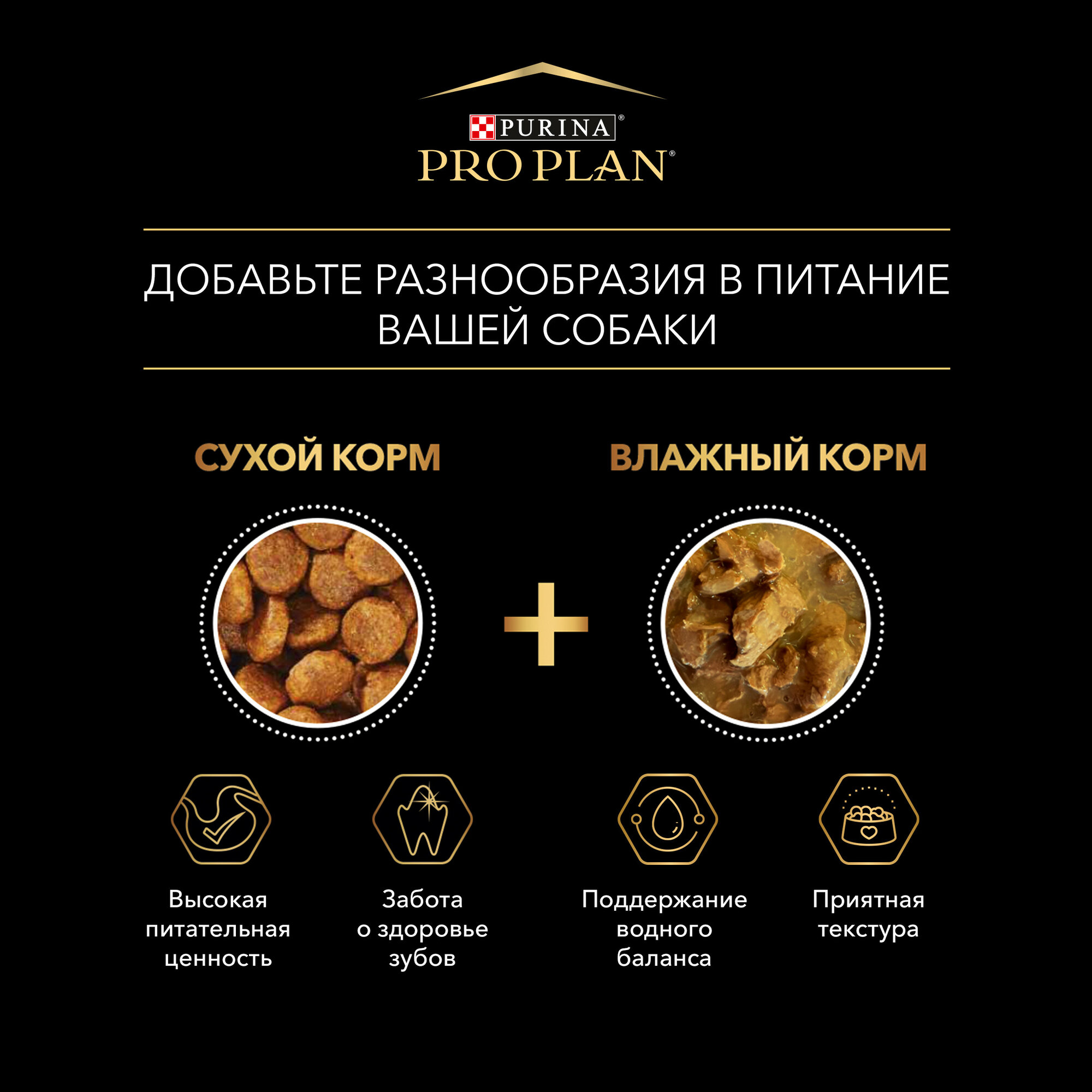 Влажный корм Purina ProPlan для склонных к набору веса собак мелких и карликовых пород, курица в соусе, 85гр - фото №8