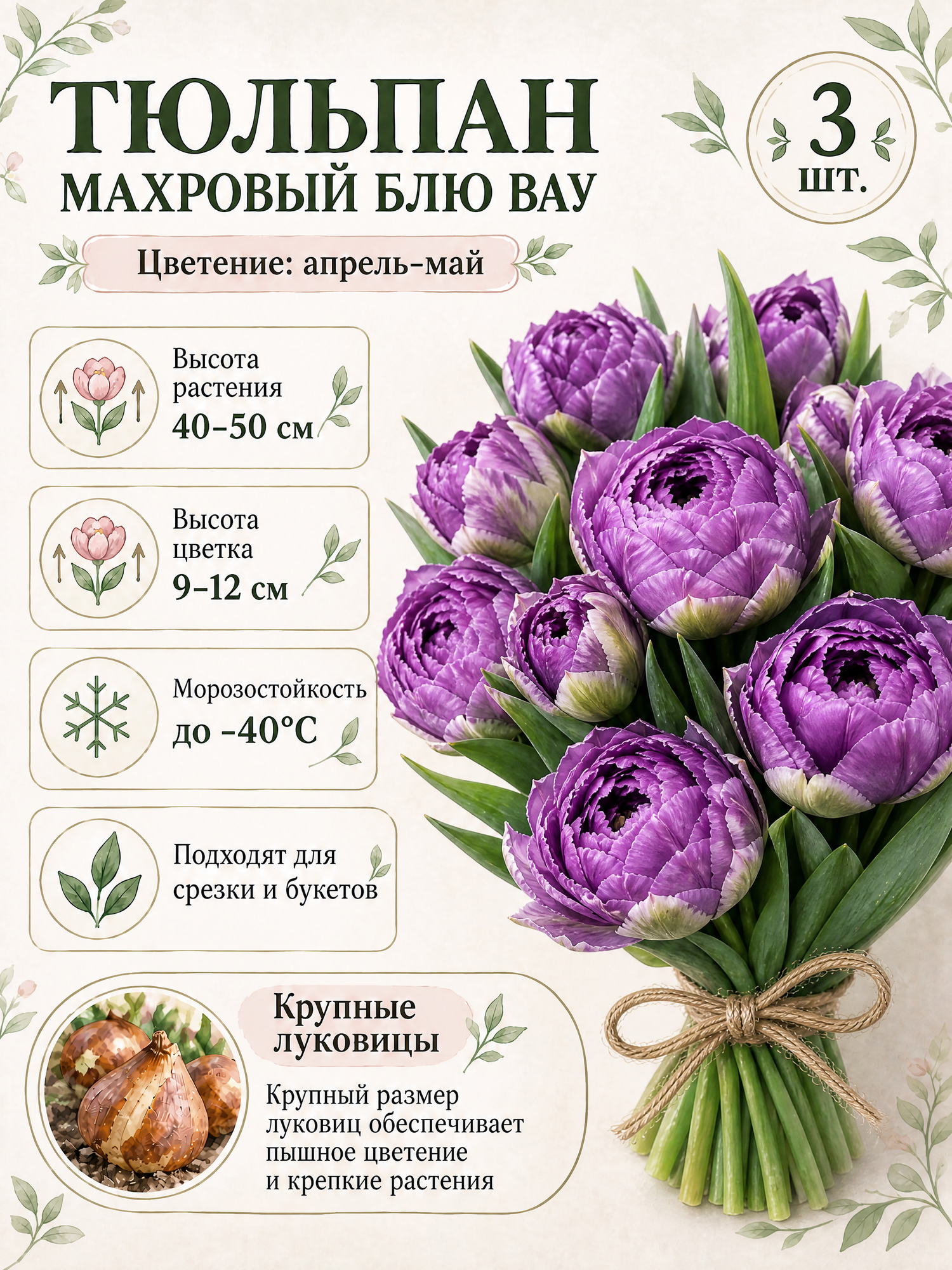 Тюльпан махровый Блю Вау, луковицы 3 шт.