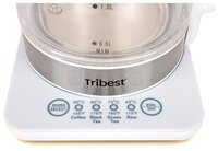 Чайник Tribest GKD-450, white