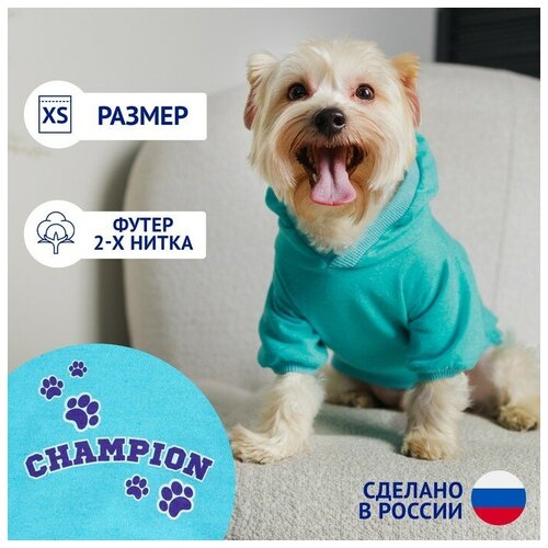 Толстовка Champion для собак (футер), размер XS (ДС 20, ОШ 24-25, ОГ 32-36), голубая