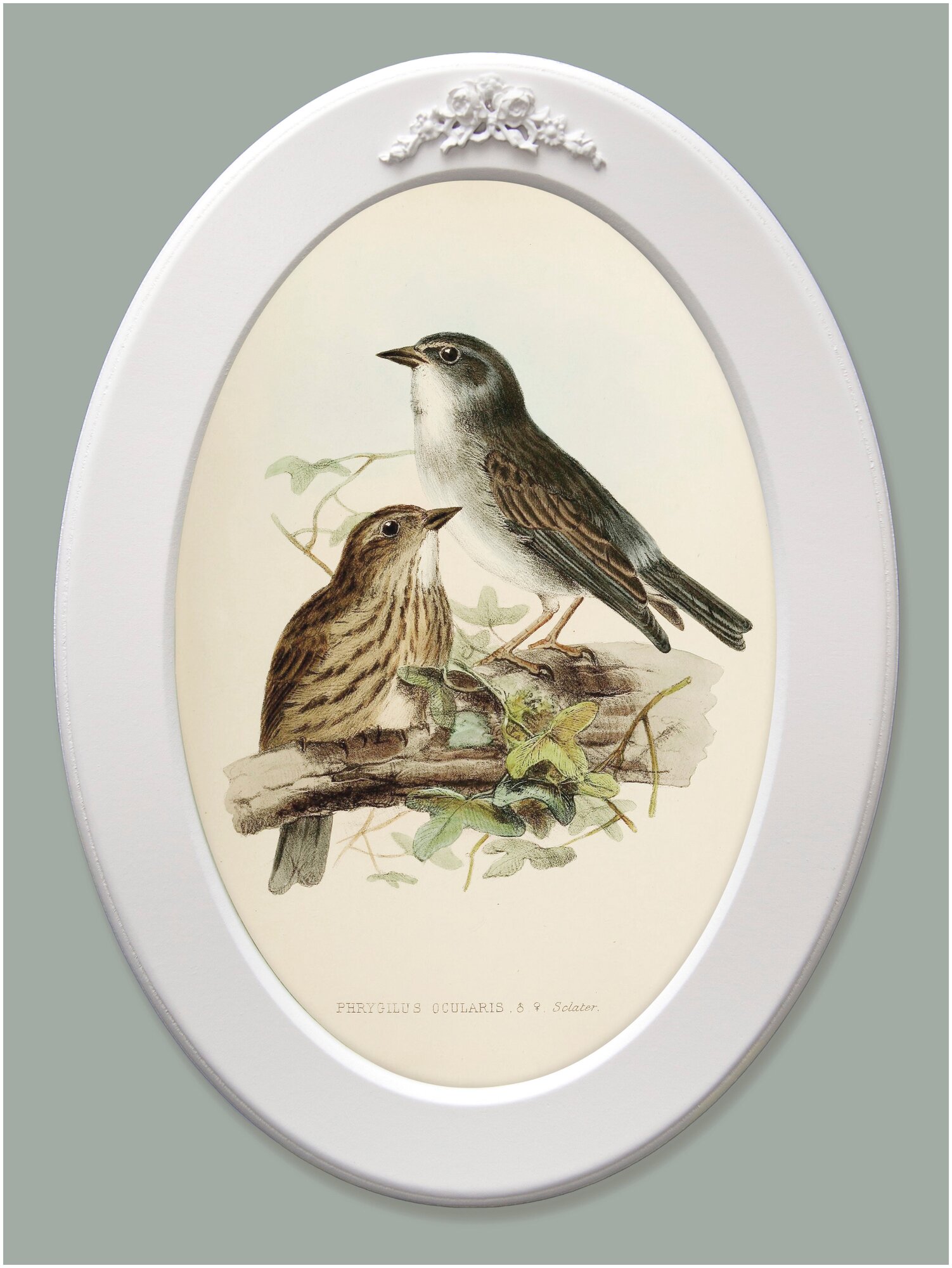 Картина в овальной деревянной раме с лепниной "Птички"