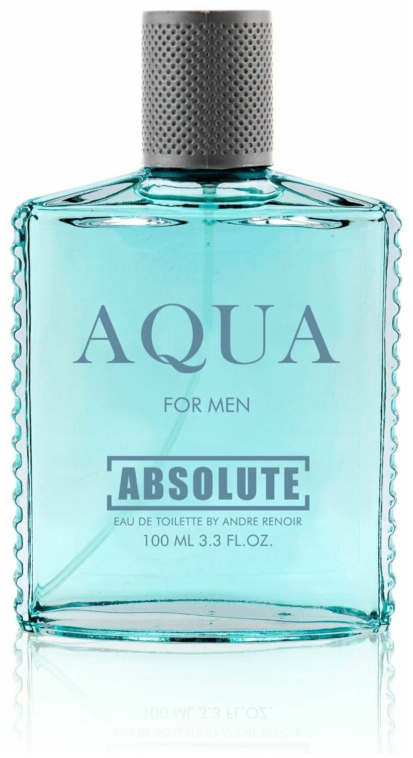 Туалетная вода мужская 100мл, Absolute Aqua