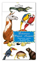 Набор карточек Маленький гений Животные Южной Америки 21x15 см 16 шт.