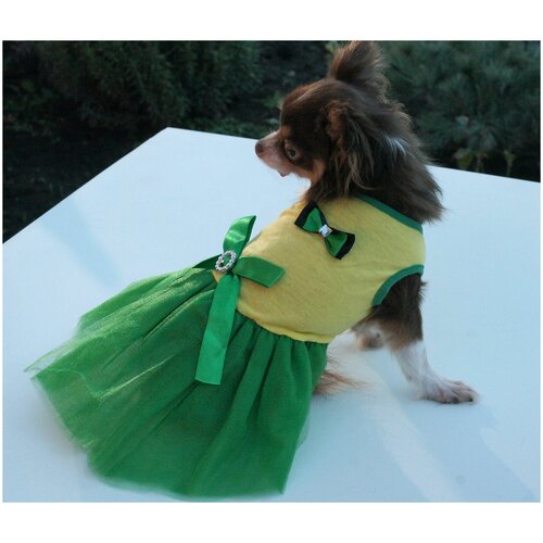 Платье для собак мелких и средних пород
