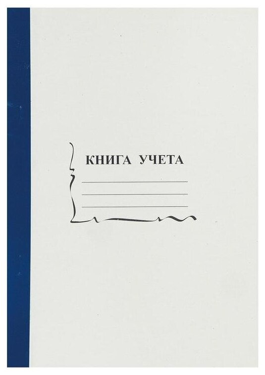 Бухгалтерская книга учета (А4, 96л, пустографка, скрепка) обложка картон