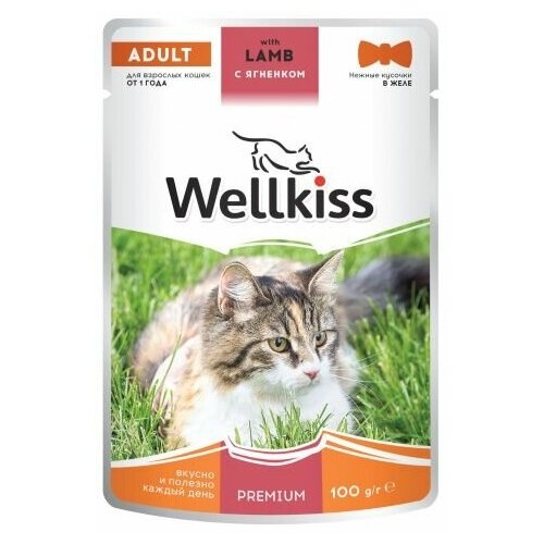 Wellkiss Adult влажный корм для взрослых кошек, с ягненком в желе, 100 г, 14 шт