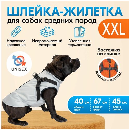 Одежда для собак, комбинезон жилет попона куртка демисезонная "PetTails" альпы "XXL" на подкладке, ОШ-40см, ОГ-67см, D45см, серая