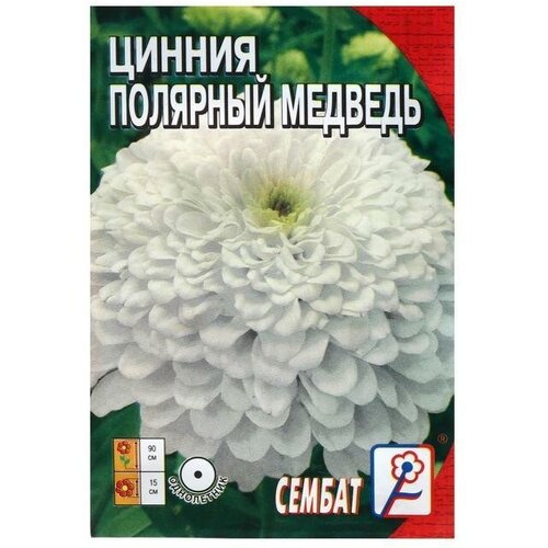 Семена цветов Циния Полярный медведь, 0,3 г 10 упаковок полярный медведь