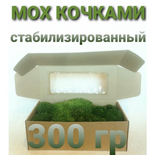 Изумрудный мох кочками, 300 грамм стабилизированный