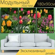 Модульный постер "Тюльпаны, цветы, красочный" 180 x 90 см. для интерьера