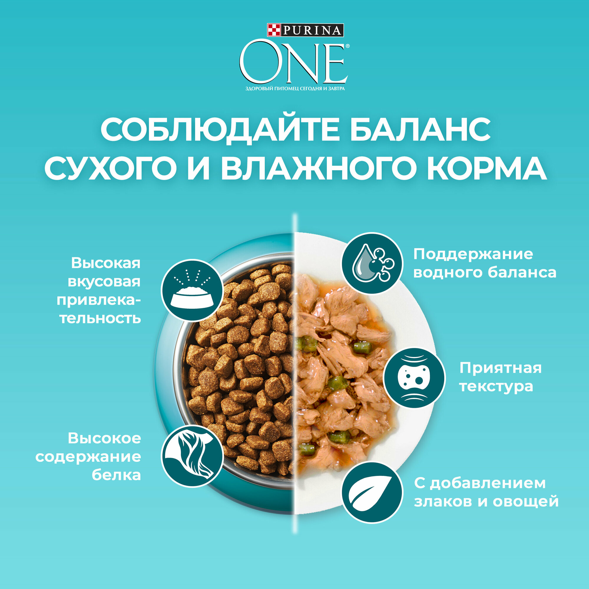 Сухой корм Purina ONE для домашних стерилизованных кошек и кастрарованных котов, с высоким содержанием курицы и цельными злаками, 1,5кг - фото №14