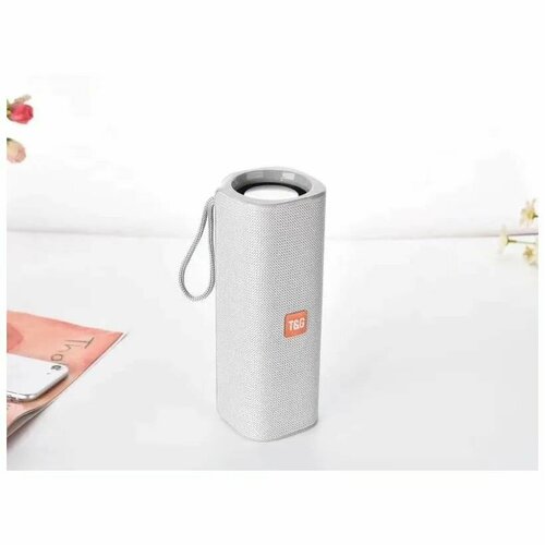 Колонка беспроводная портативная 10Вт 2 динамика TG 531 FM радио USB AUX micro SD 1200мАч серебристая с басами 1250₽