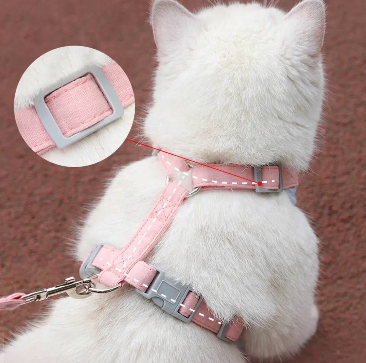 Анатомическая шлейка для маленьких и средних собак и кошек