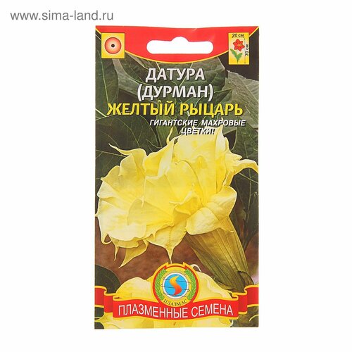Семена Дурман 