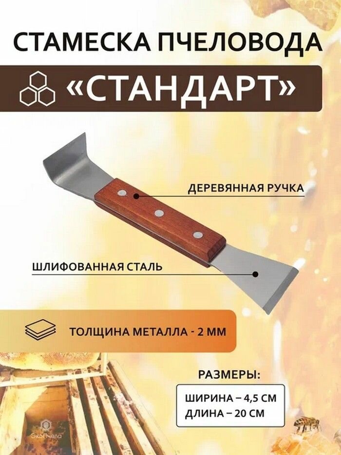 Стамеска пасечная